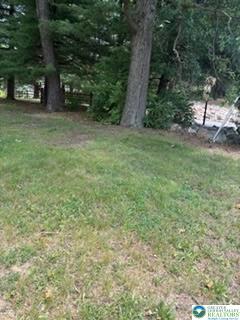 5747 Kernsville Road Property Photo 41