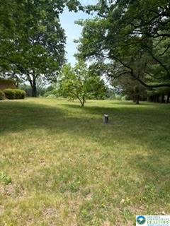 5747 Kernsville Road Property Photo 42