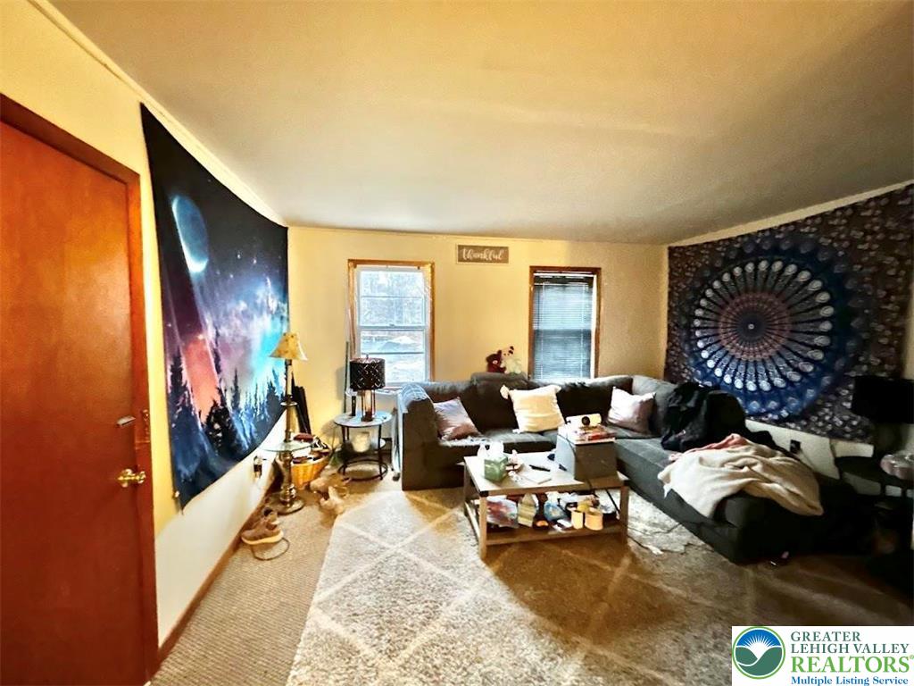 507 Delaware Avenue Property Photo 13