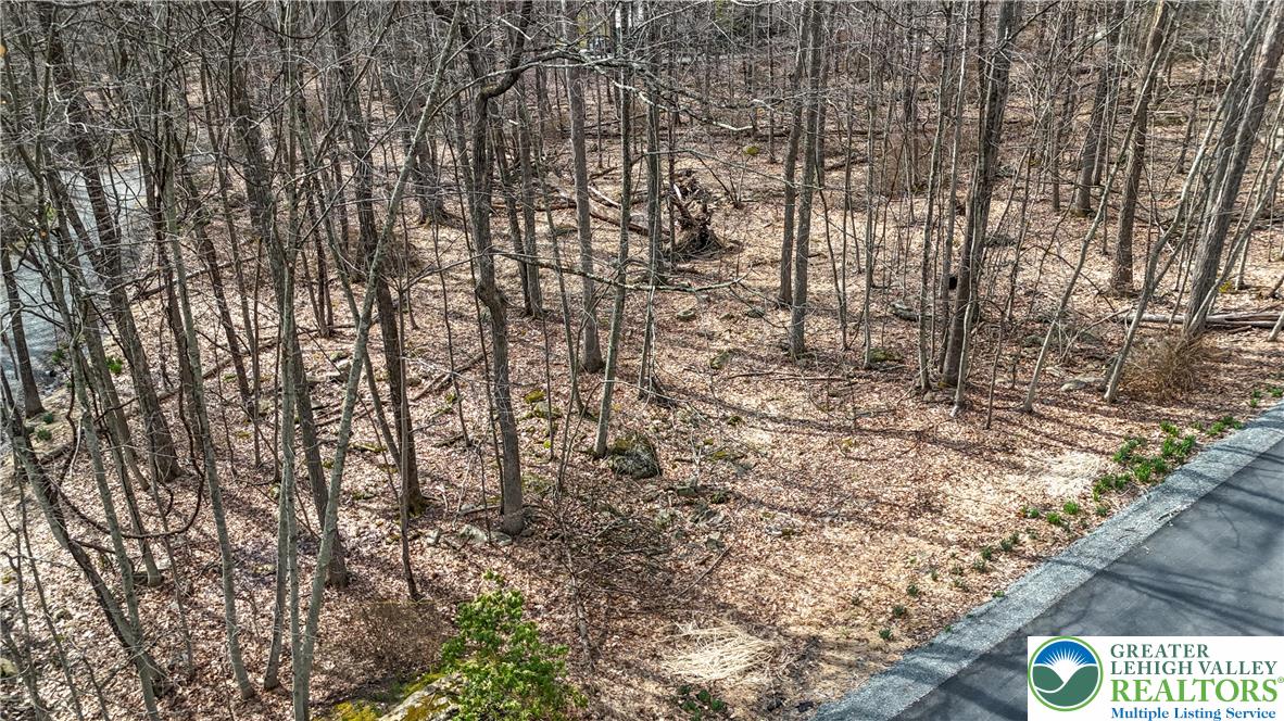 307 Blue Ridge Drive Property Photo 6