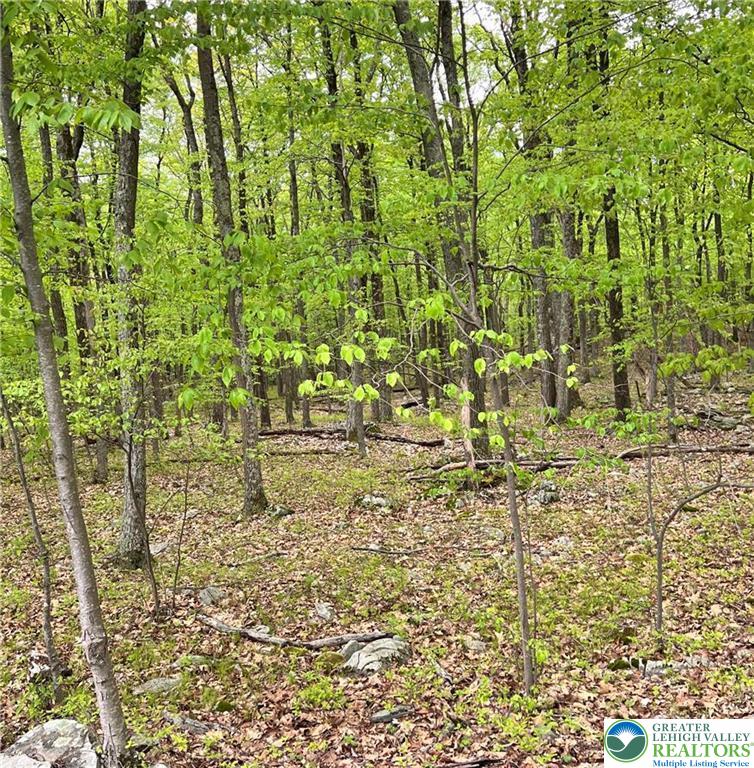 209 Cherry Lane Property Photo 1