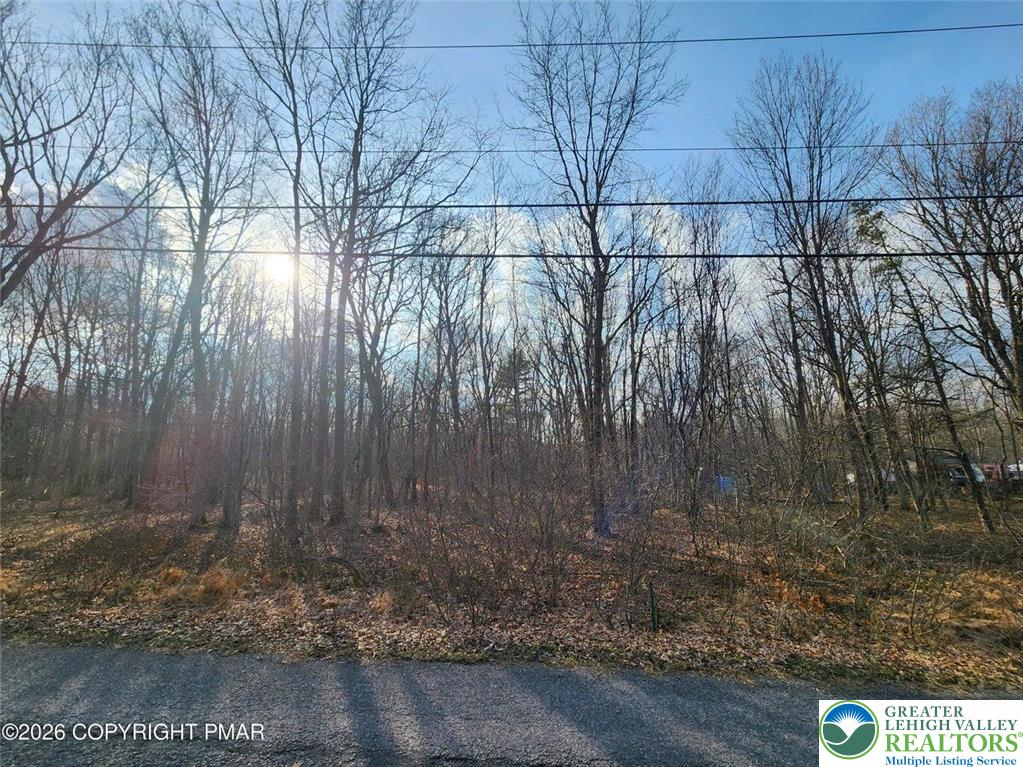 489 Panther Run Road Property Photo 1