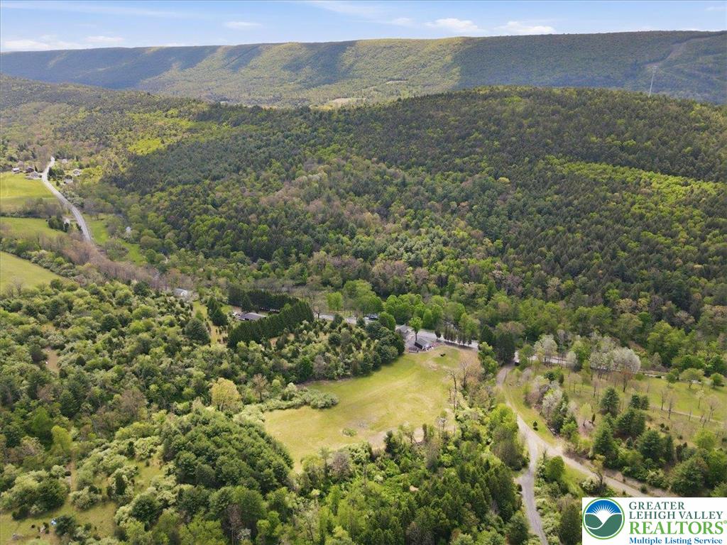 4880 Little Gap Road Property Photo 98