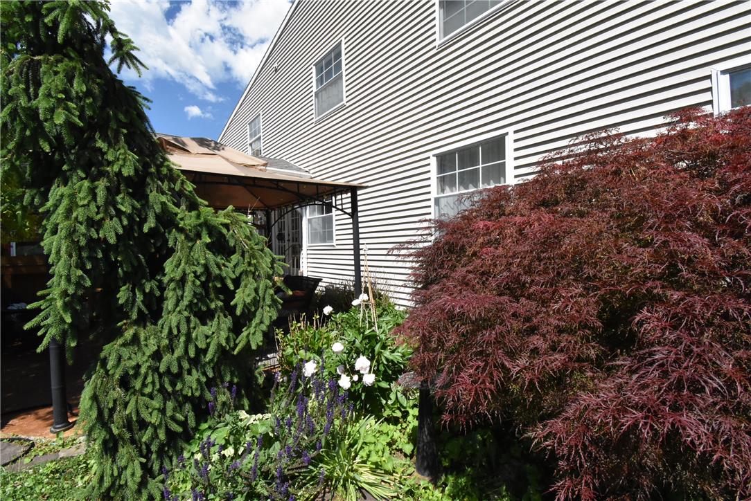 424 Grape Street Property Photo 61