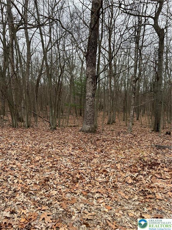 102 Heavenly Valley Drive Property Photo 2