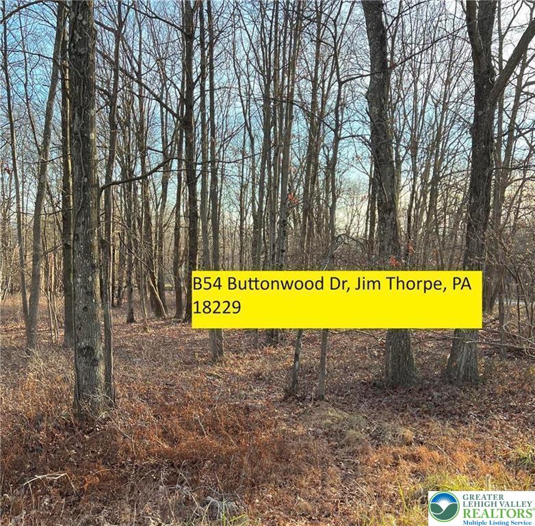 54 Buttonwood Drive Property Photo 1