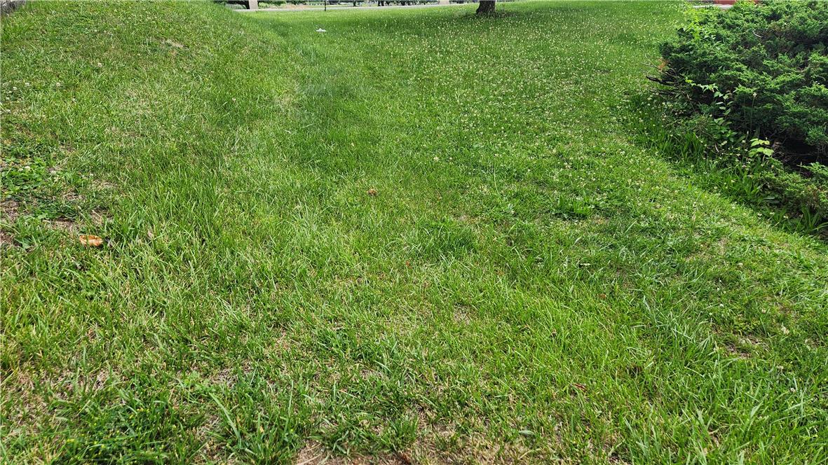 Dogwood Road Property Photo 2