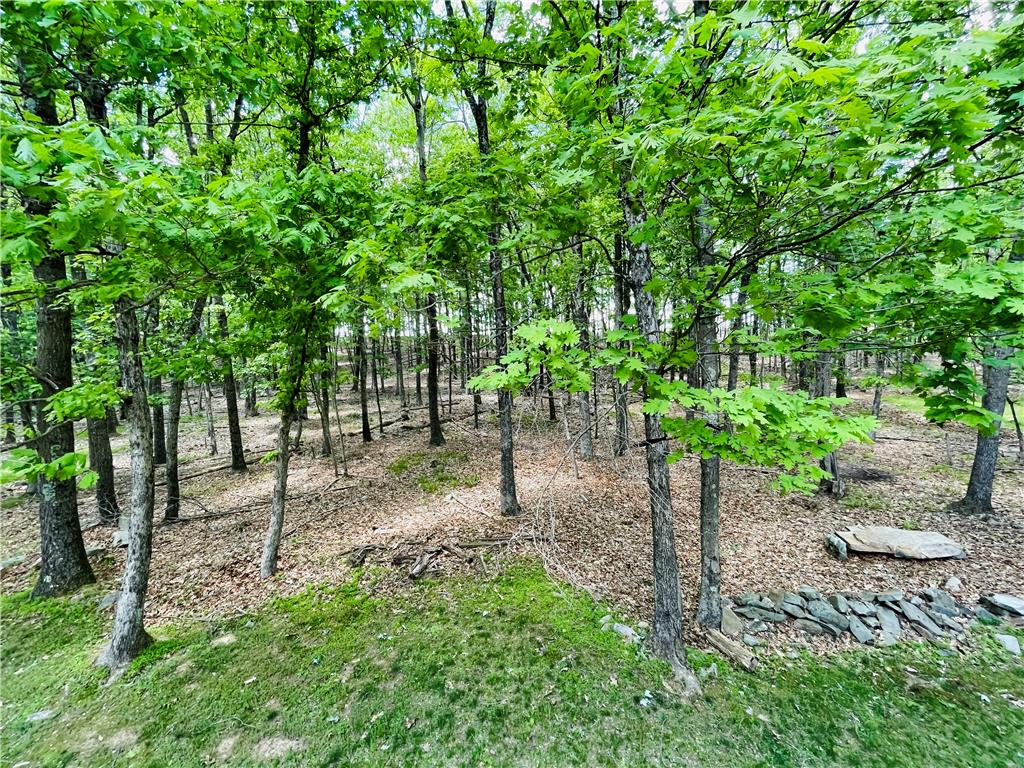 9 Sycamore Circle Property Photo 25