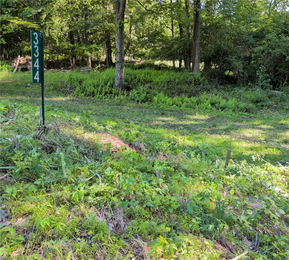 3344 Mountain Road