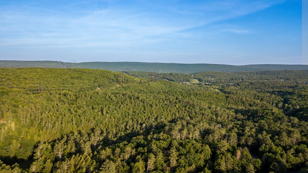 1247 Stony Hollow Circle Property Photo 6