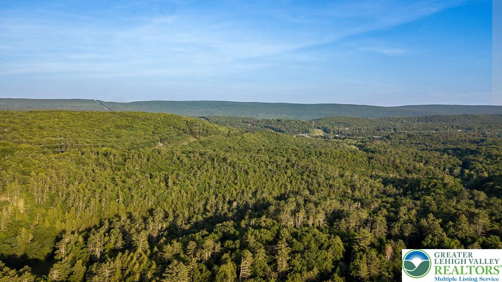 1247 Stony Hollow Circle Property Photo 6