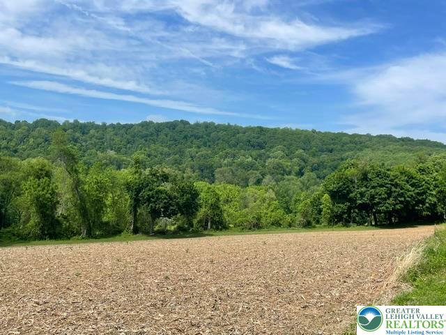 5093 Vera Cruz Road Property Photo 46
