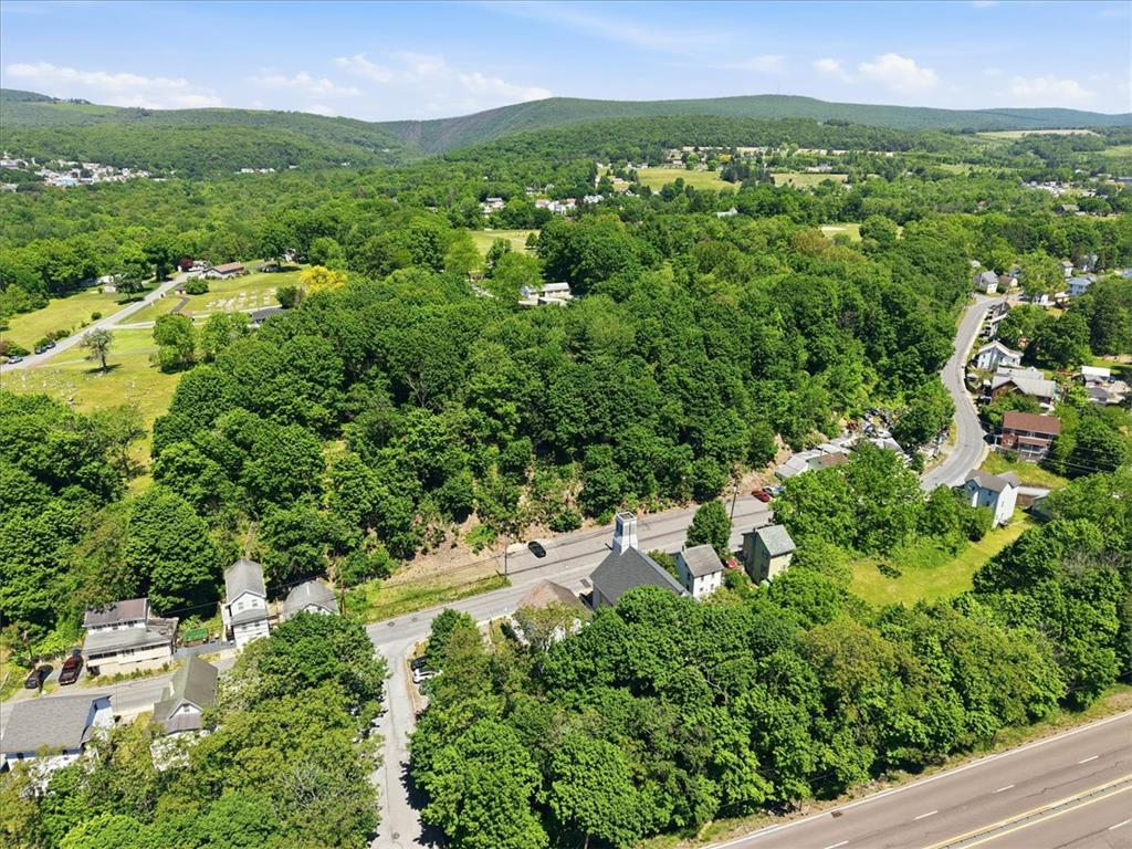167 Main Road Property Photo 41