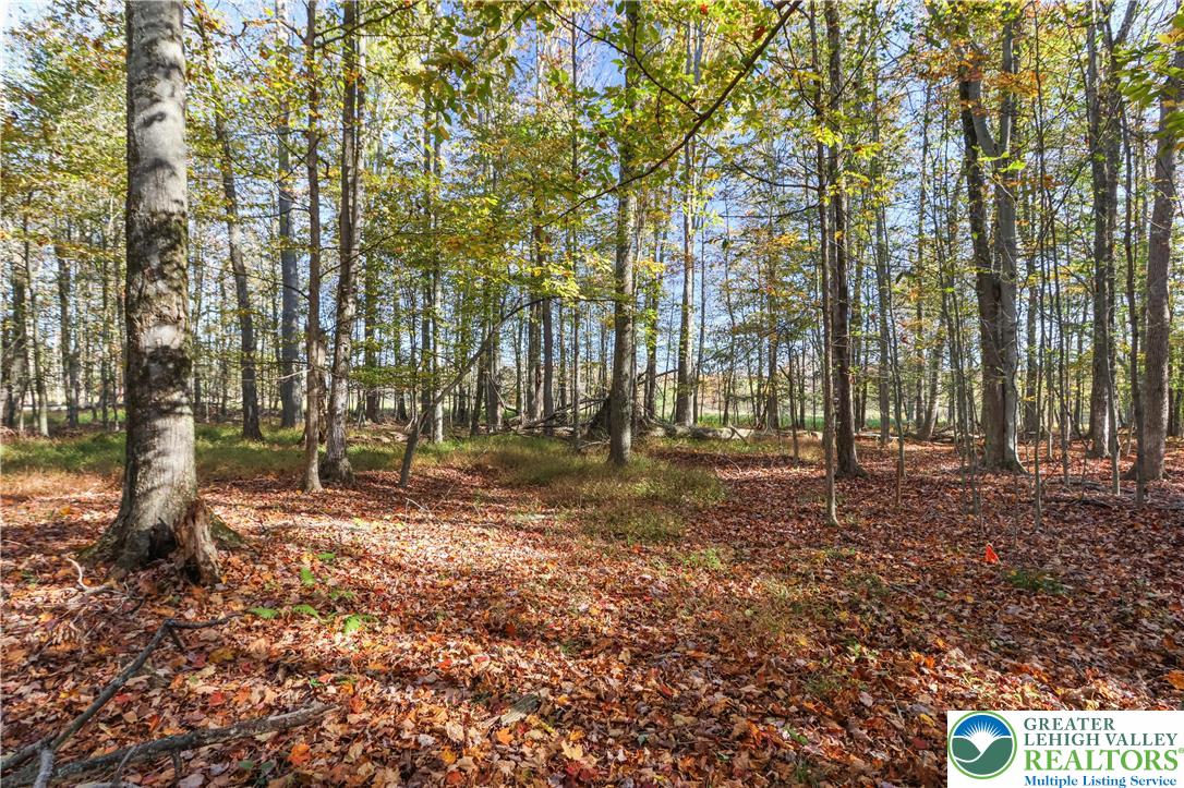 Cygnus Road Property Photo 1