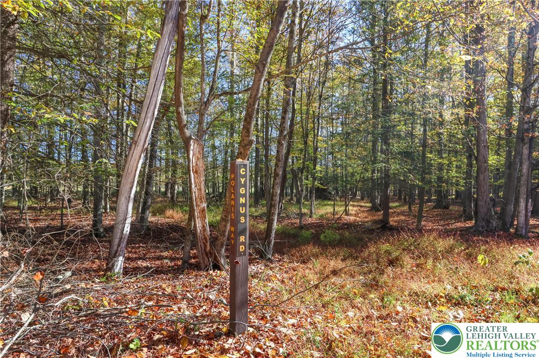 Cygnus Road Property Photo 3