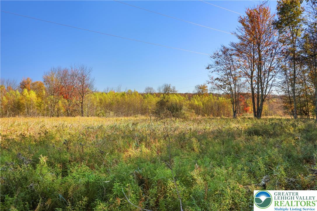 Cygnus Road Property Photo 4