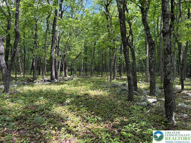 Lot 250-Maple Lane Property Photo 1