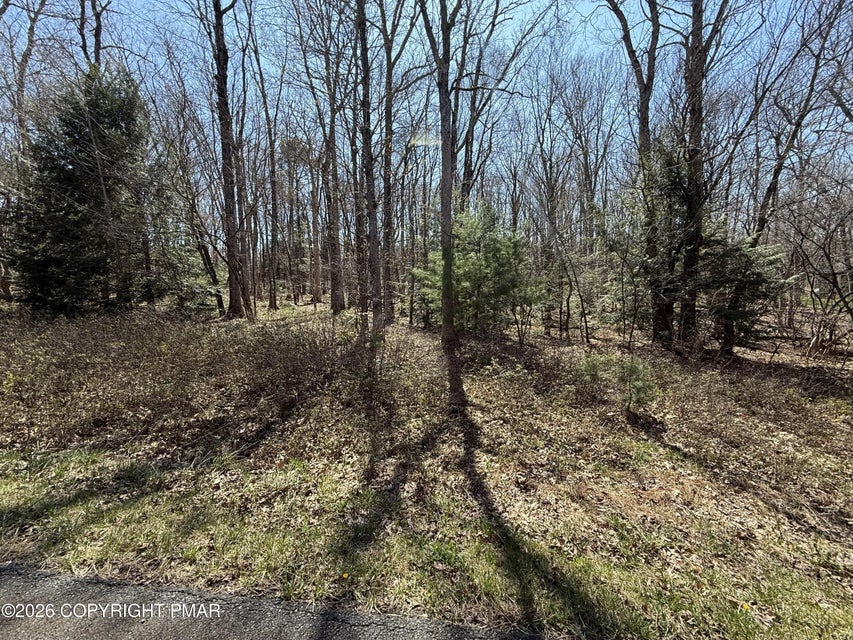556 Drakes Drive Property Photo 1