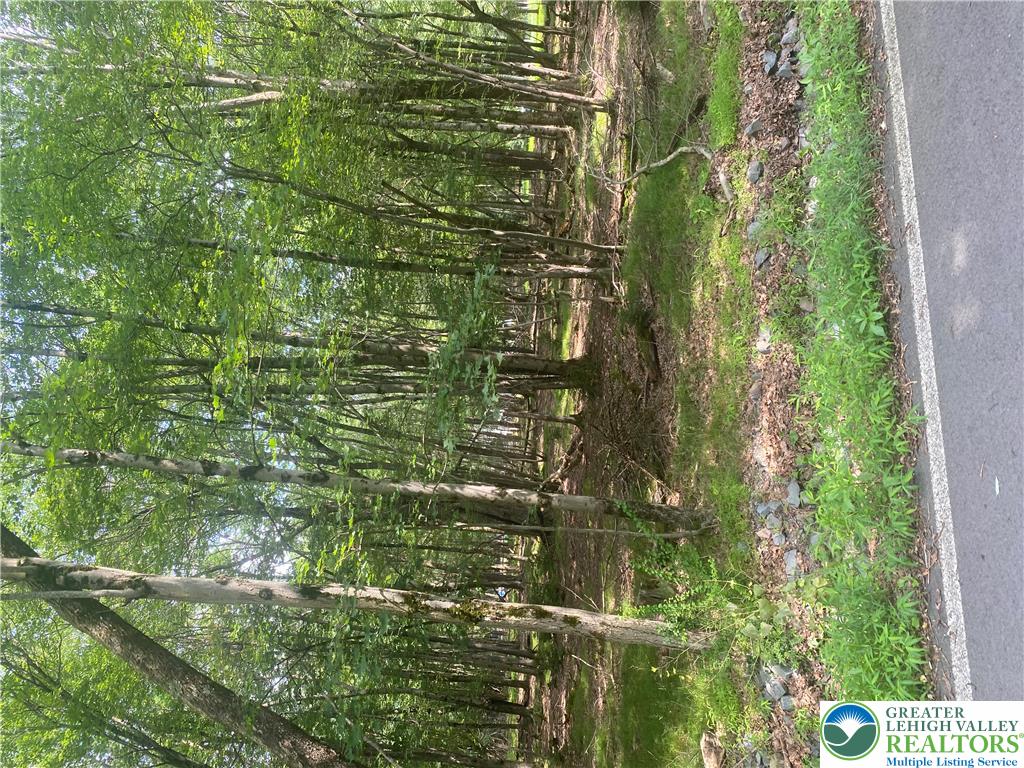 0 Cranberry Drive Property Photo 7