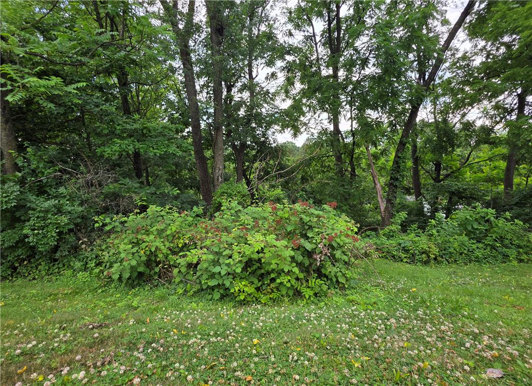 4202 Silver Fox Court Property Photo 30