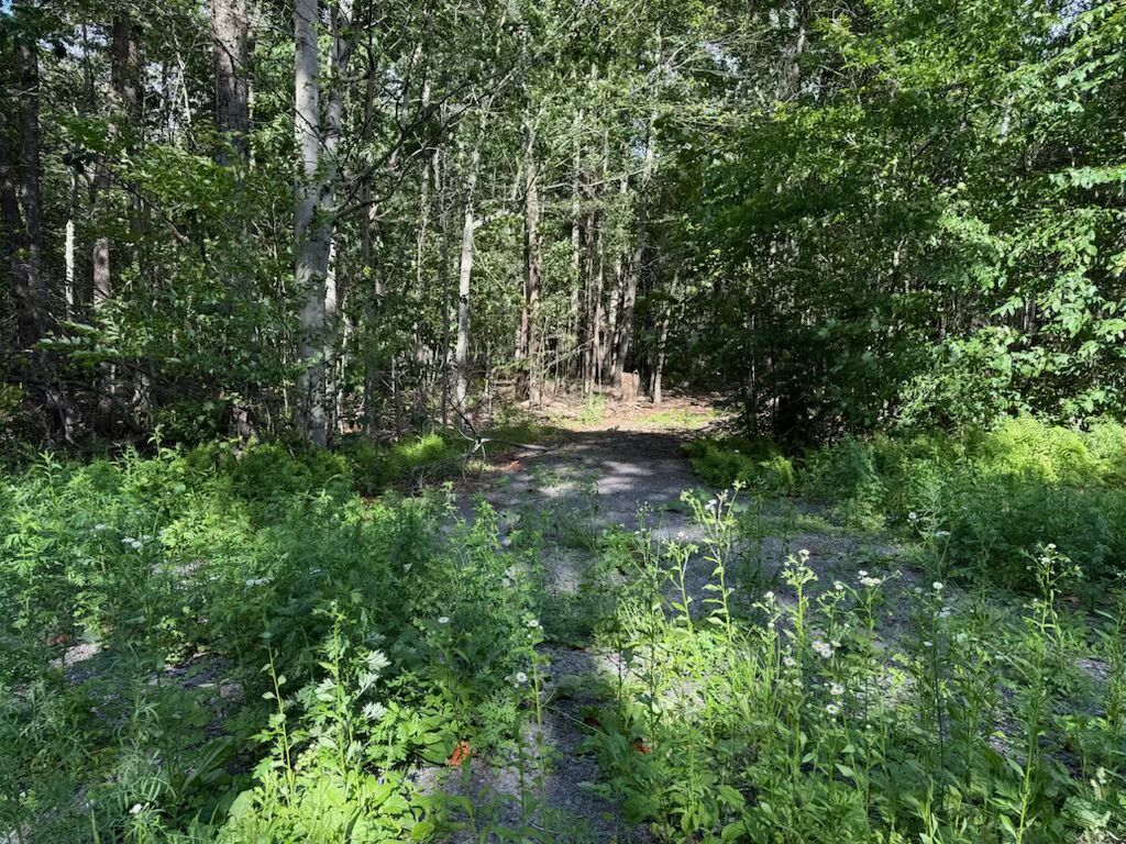 Lot 14 Woodland Drive