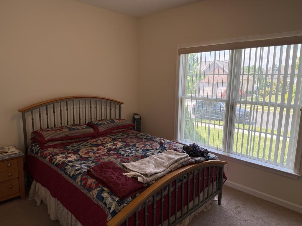 1110 Morning Star Drive Property Photo 9