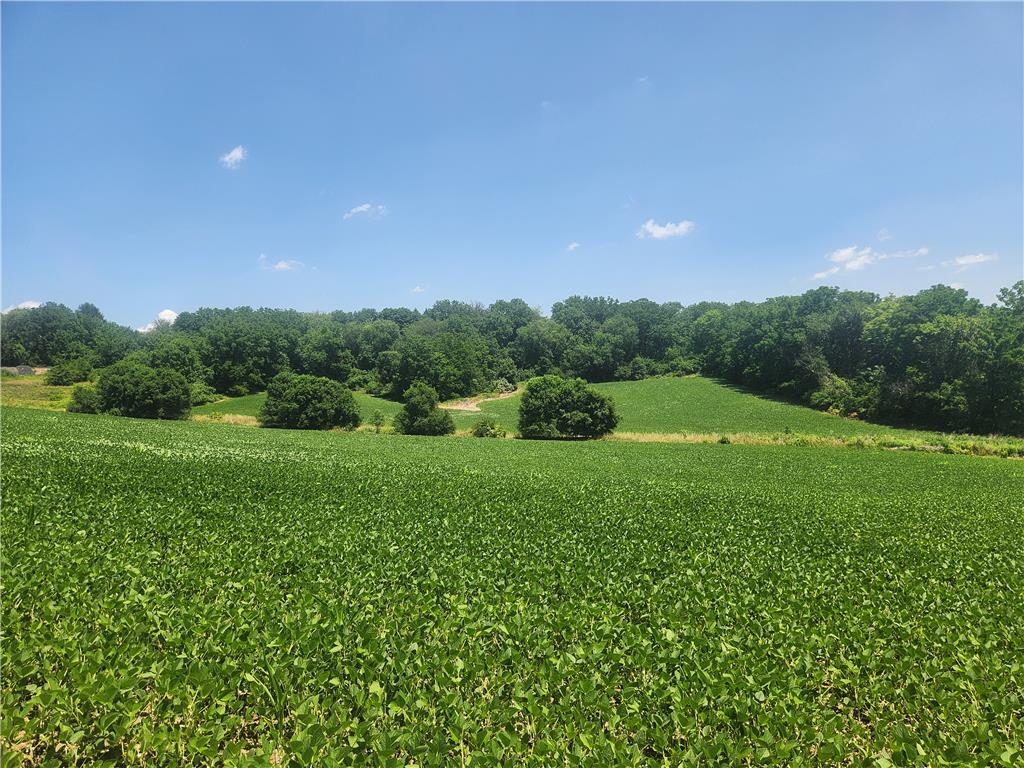 4381 Mauch Chunk Road Property Photo 1