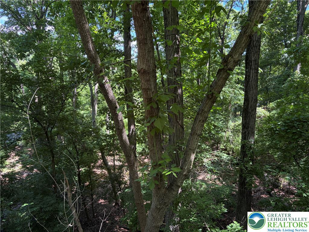 Bierys Bridge Road Property Photo 5