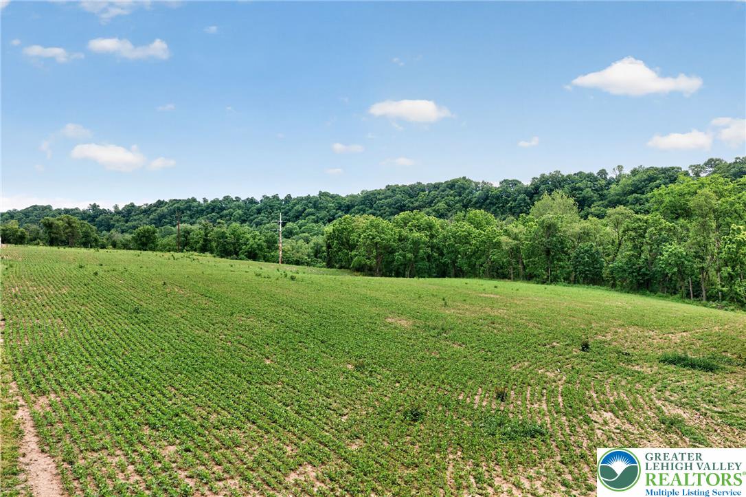 149 Riverview Drive Lot 4 Property Photo 42