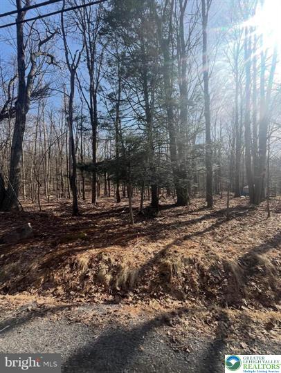 Owassa Drive Property Photo 11