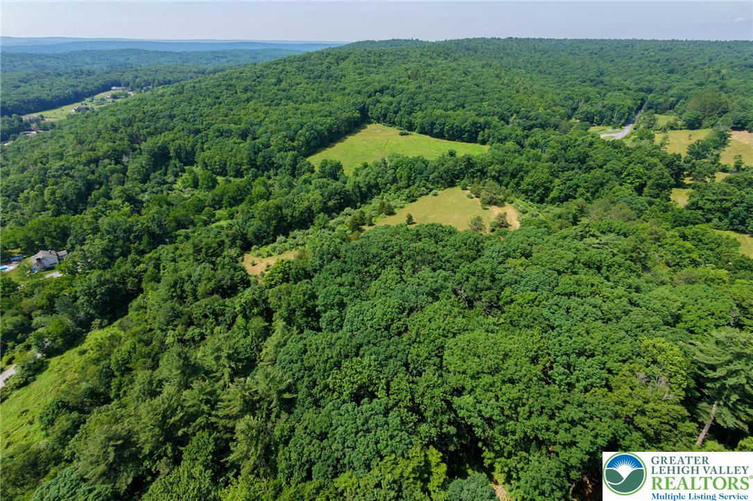 1a Sherwood Forest Road Property Photo 5