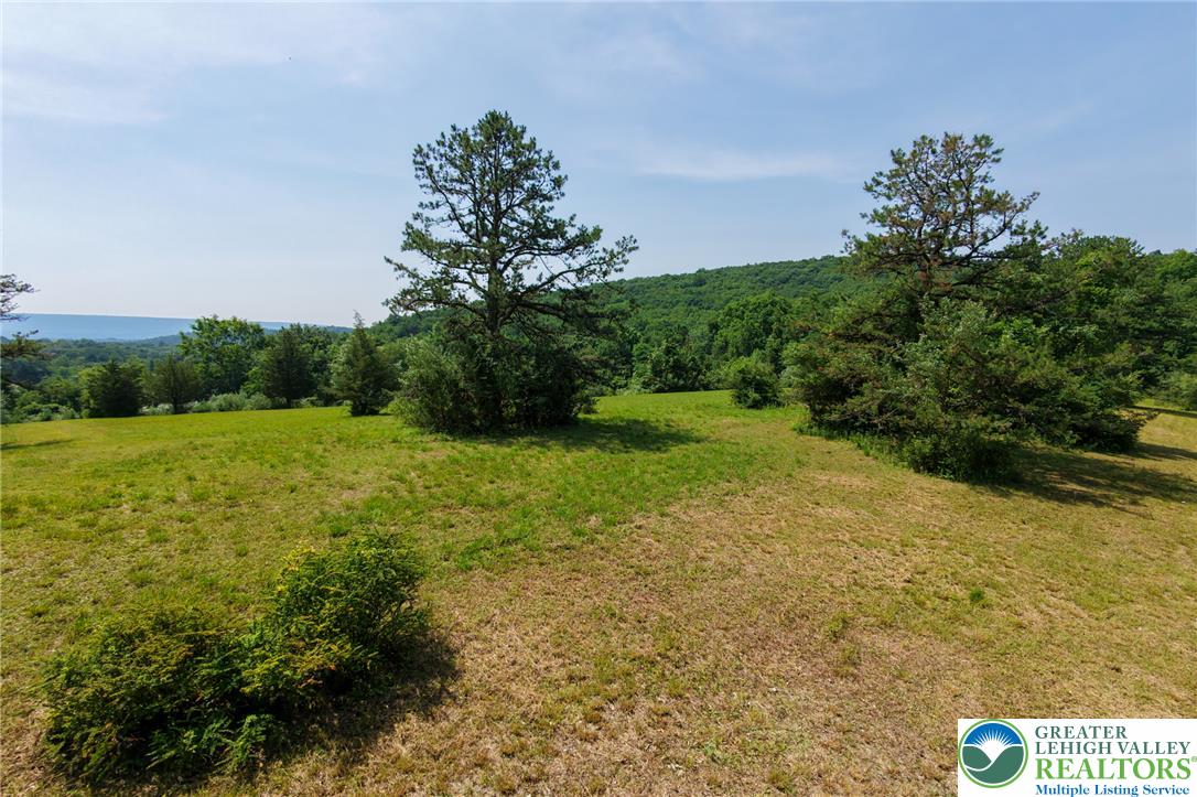 1a Sherwood Forest Road Property Photo 7