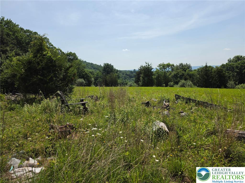 1a Sherwood Forest Road Property Photo 9