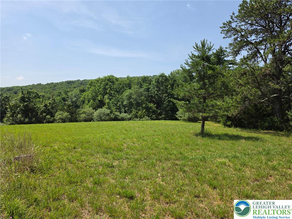 1a Sherwood Forest Road Property Photo 10
