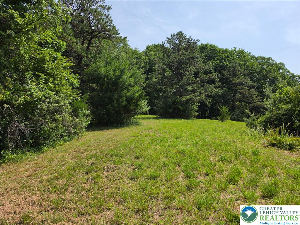 1a Sherwood Forest Road Property Photo 11