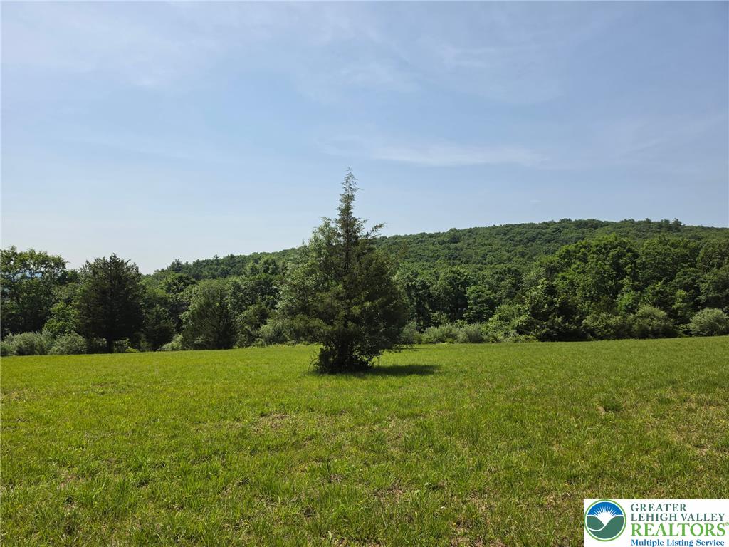 1a Sherwood Forest Road Property Photo 12