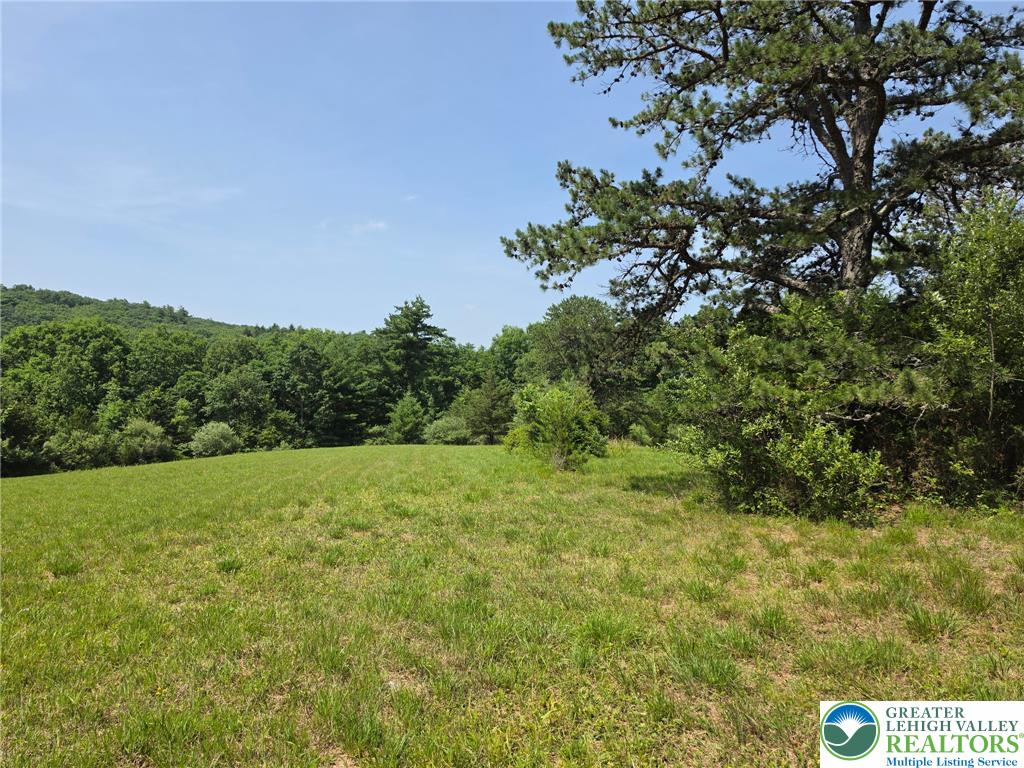1a Sherwood Forest Road Property Photo 13