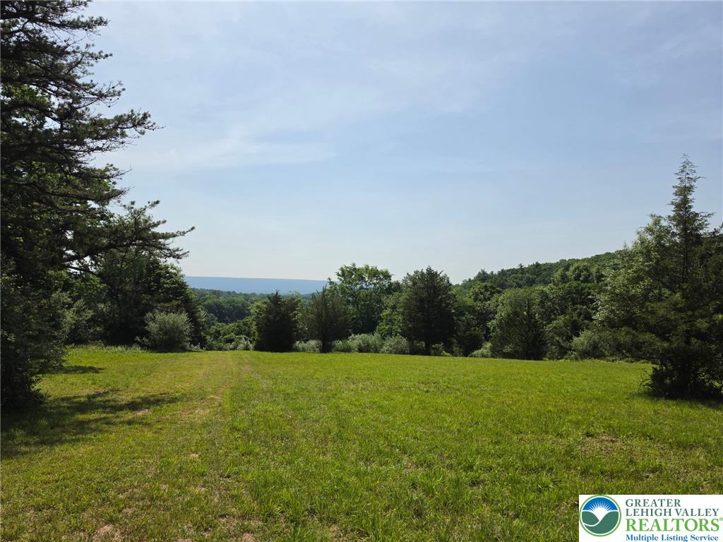 1a Sherwood Forest Road Property Photo 14