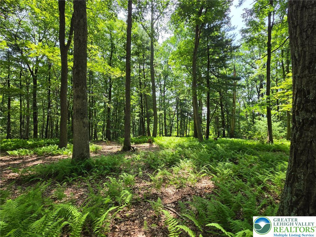 1a Sherwood Forest Road Property Photo 15