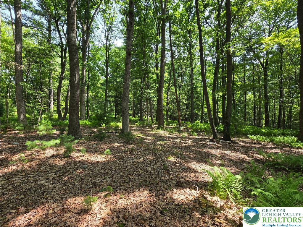 1a Sherwood Forest Road Property Photo 16