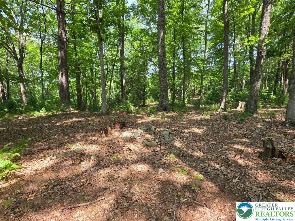 1a Sherwood Forest Road Property Photo 17