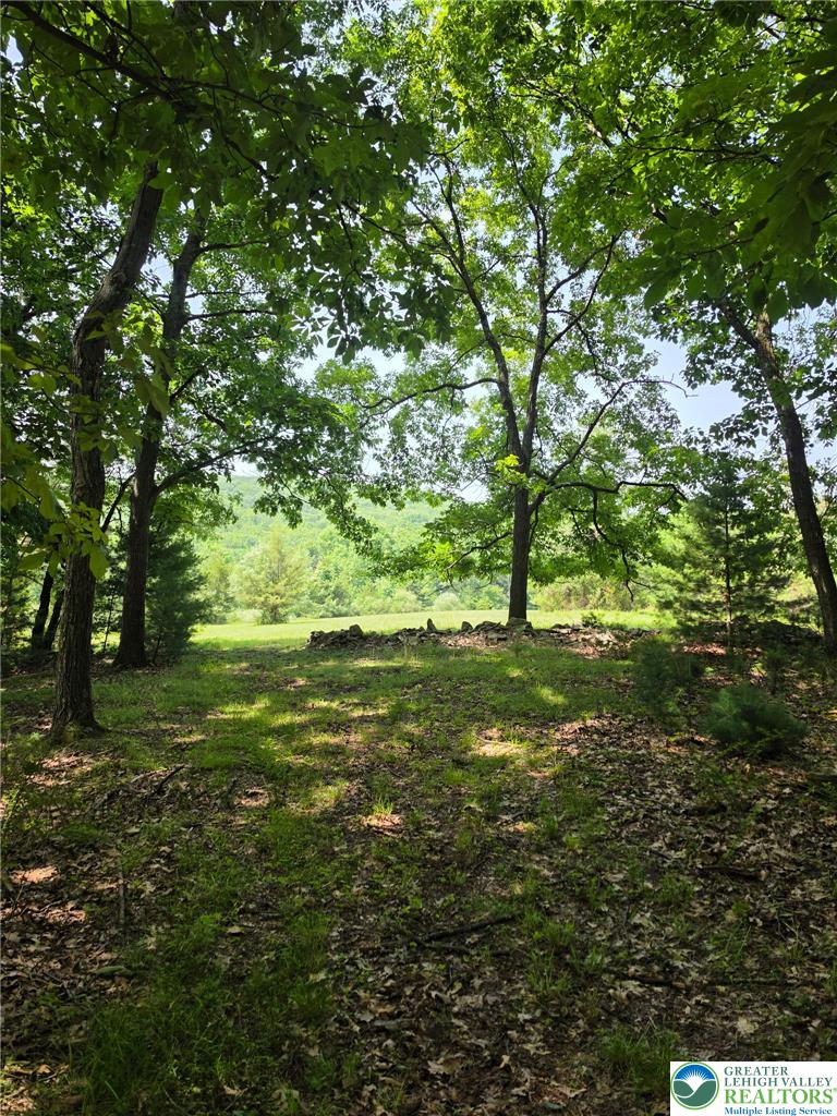 1a Sherwood Forest Road Property Photo 19