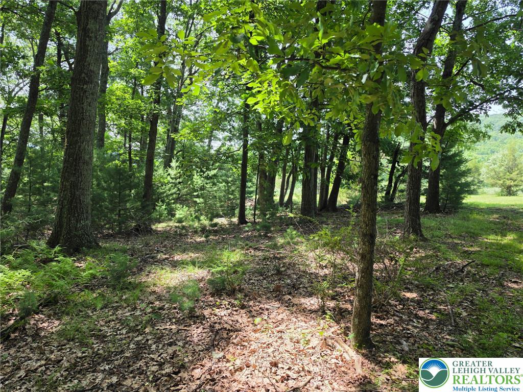 1a Sherwood Forest Road Property Photo 20
