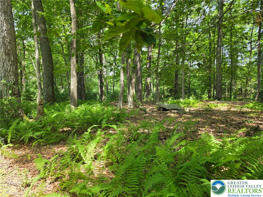 1a Sherwood Forest Road Property Photo 21
