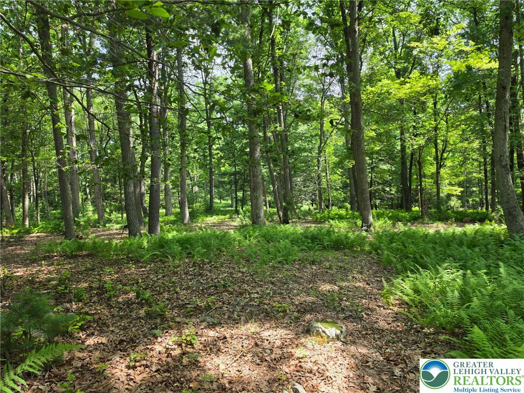 1a Sherwood Forest Road Property Photo 22