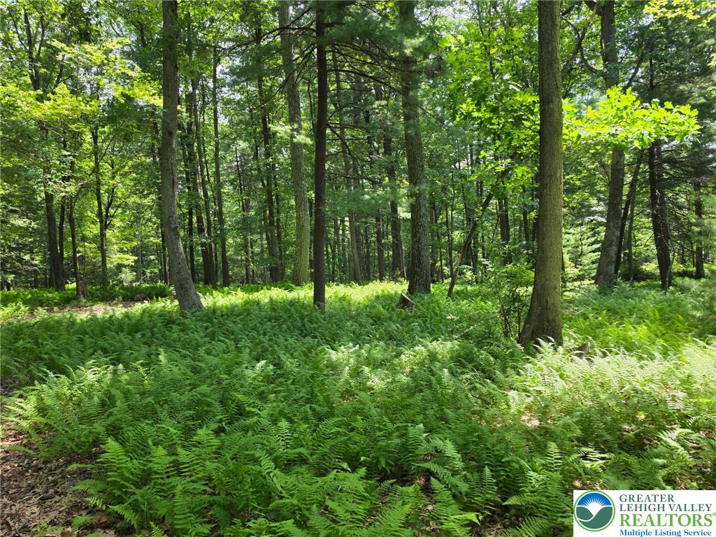 1a Sherwood Forest Road Property Photo 23