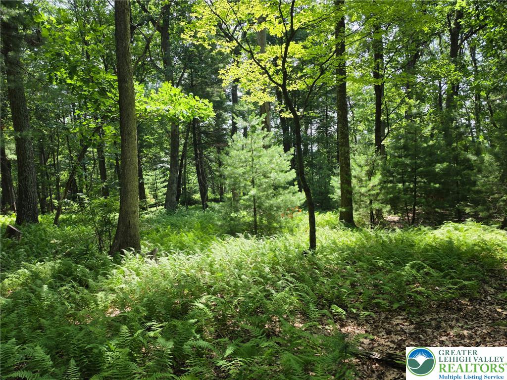 1a Sherwood Forest Road Property Photo 24
