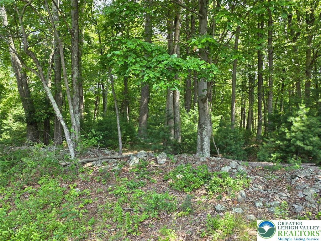 1a Sherwood Forest Road Property Photo 25