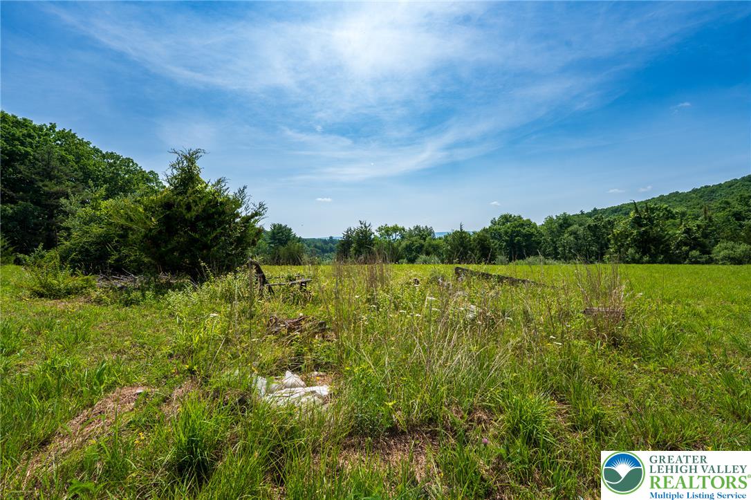1a Sherwood Forest Road Property Photo 26