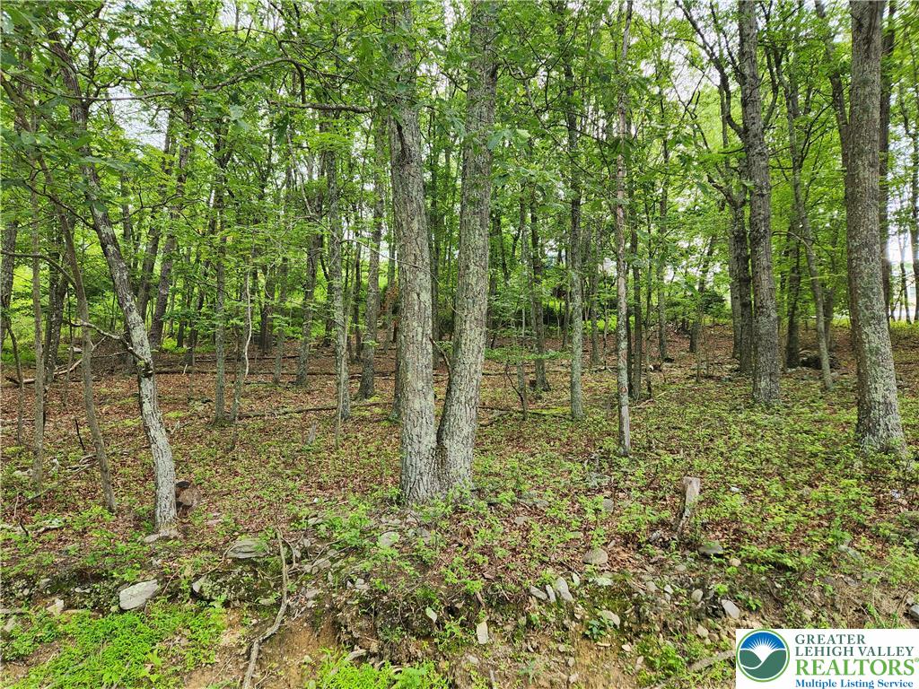Seneca Road Property Photo 2
